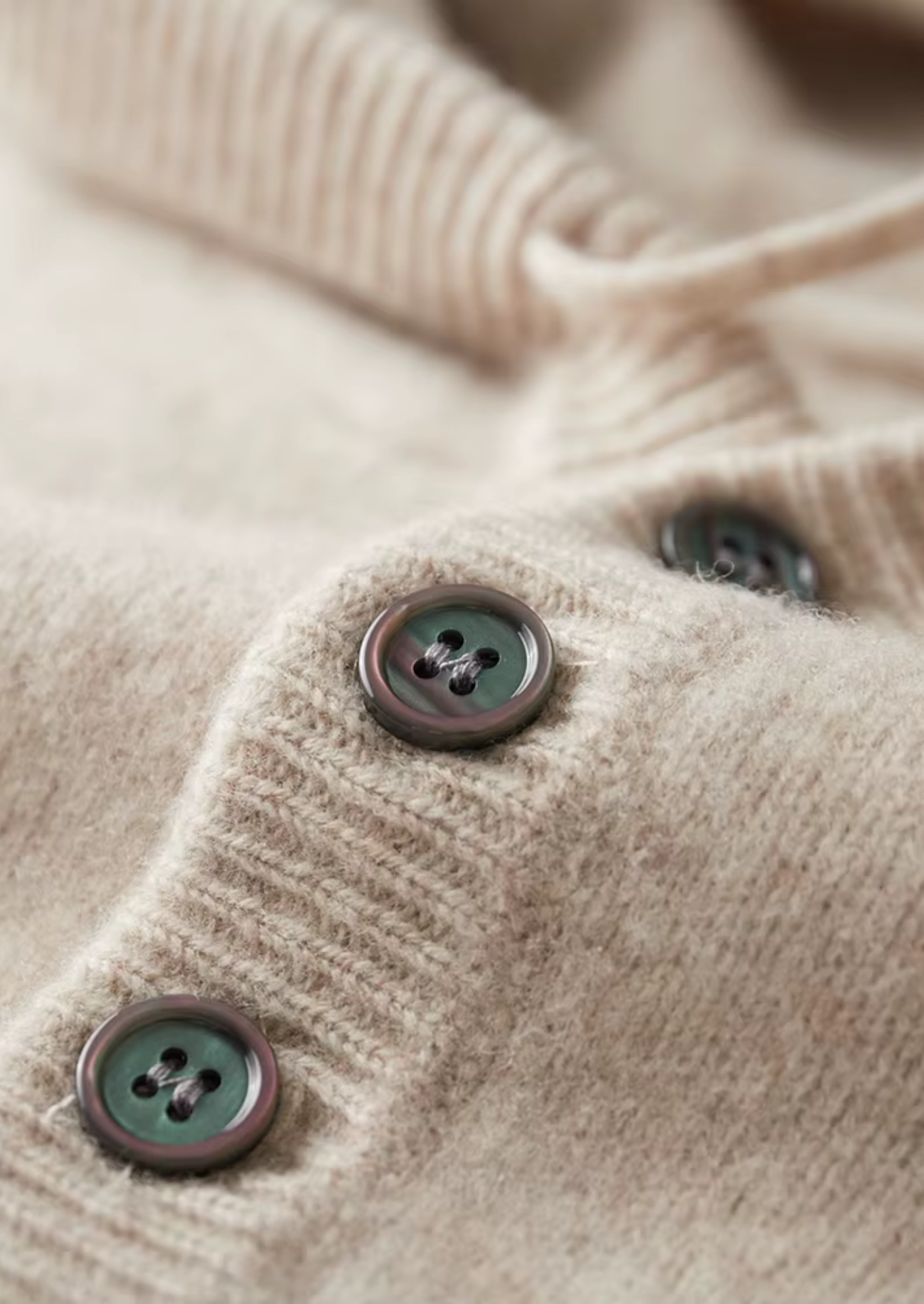 SECRET WEALTH | WOOL BUTTON HOODIE