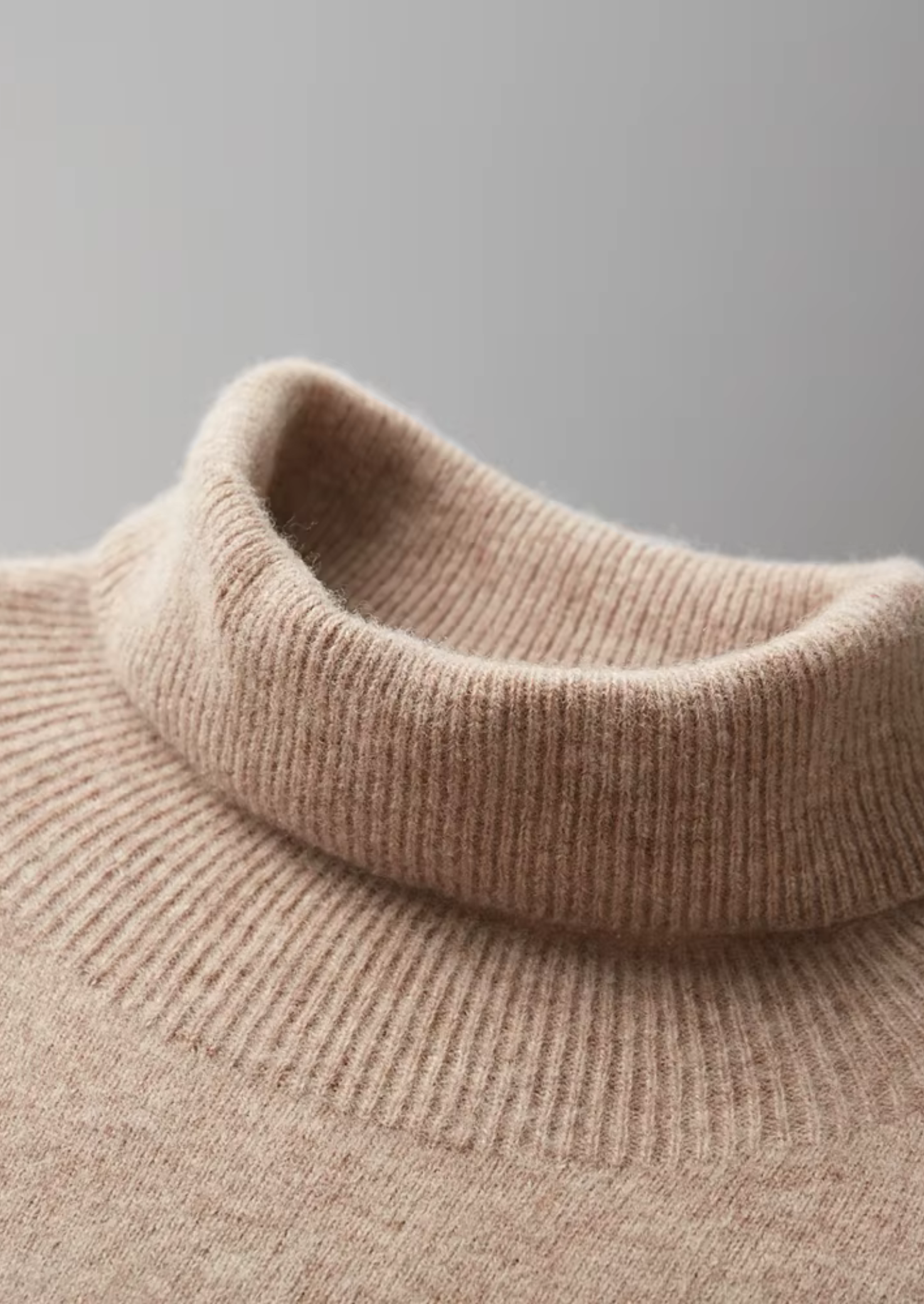 SECRET WEALTH | WOOL CLASSIC ROLLNECK