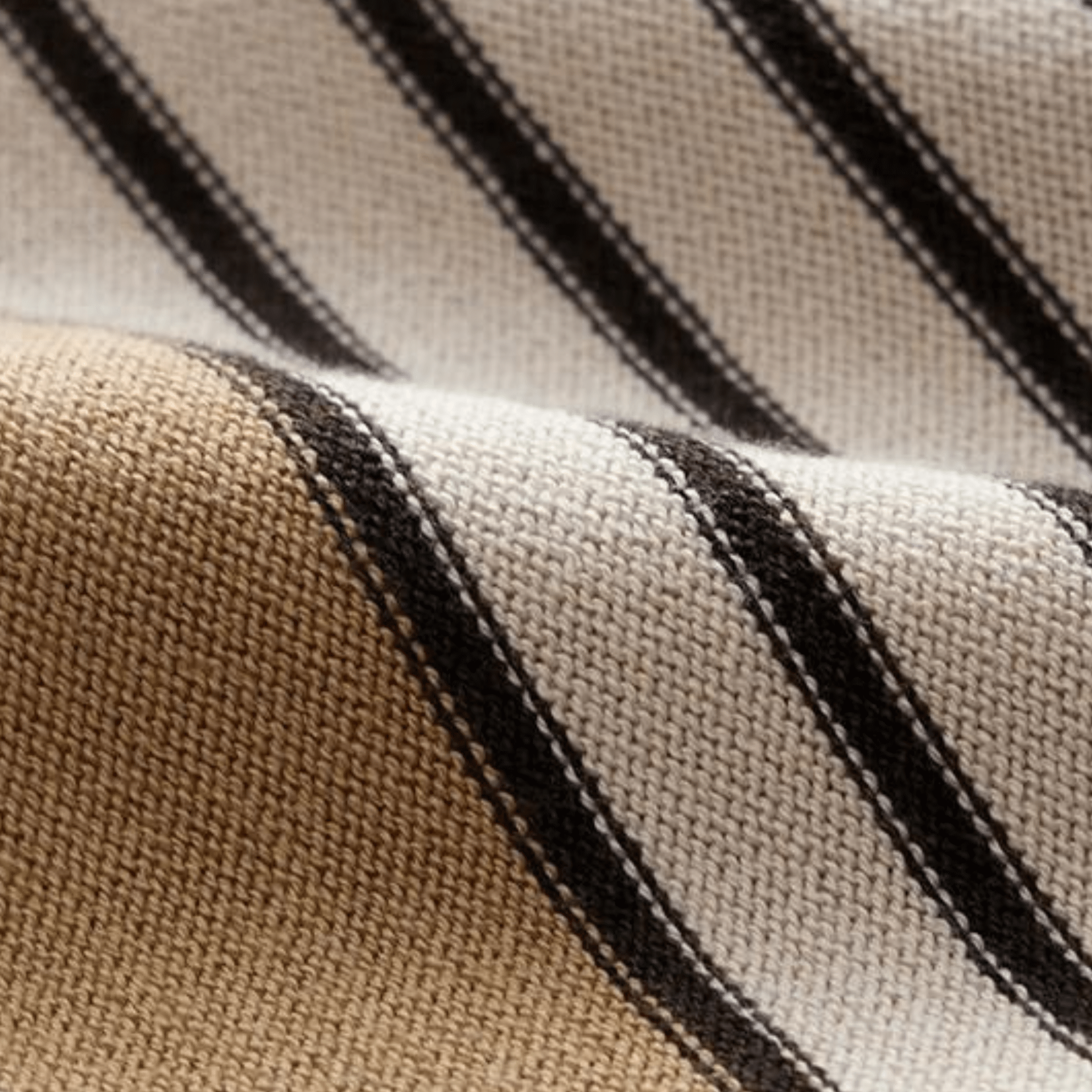 SECRET WEALTH | Polo with buttons