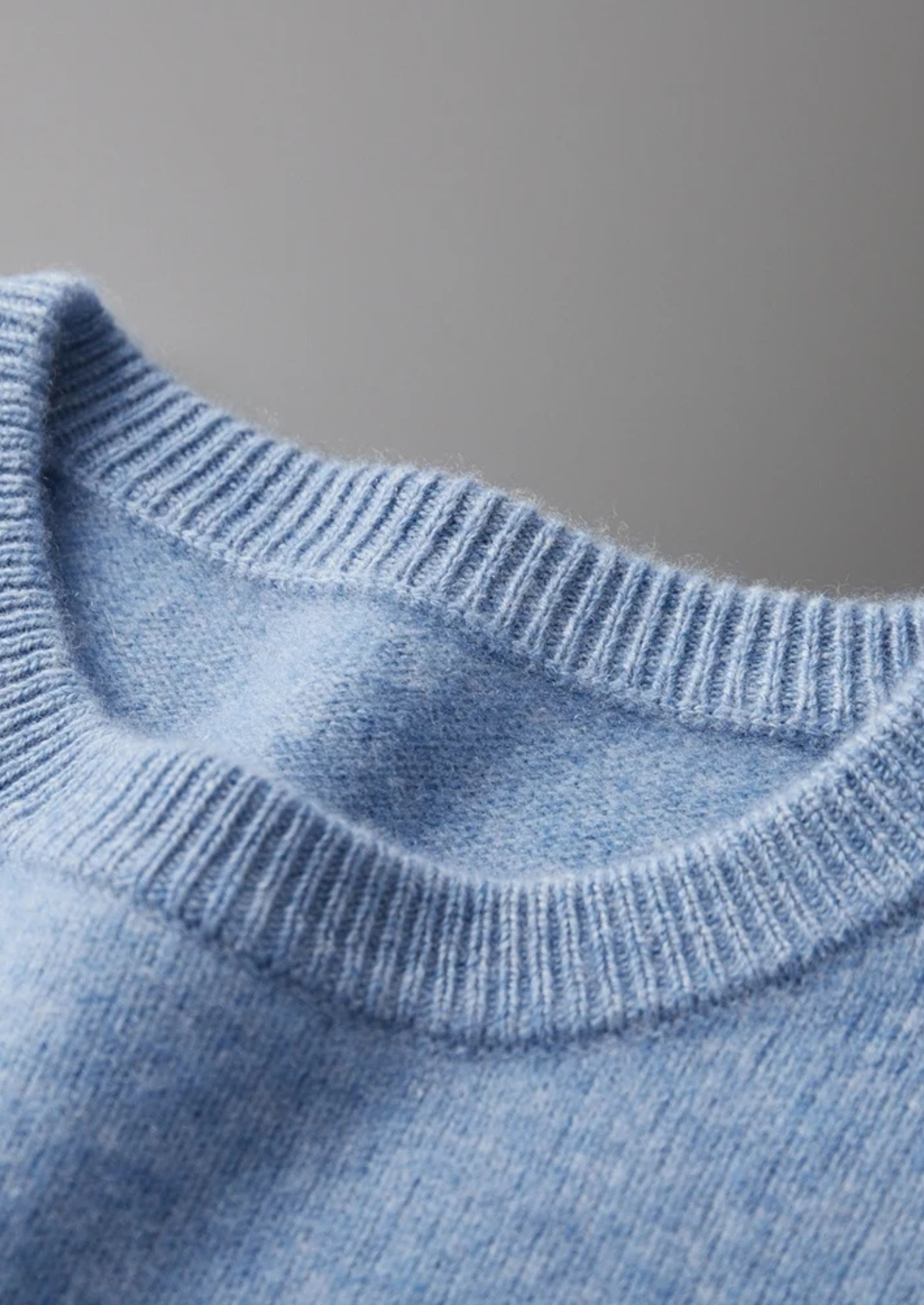 SECRET WEALTH | WOOL CLASSIC CREWNECK