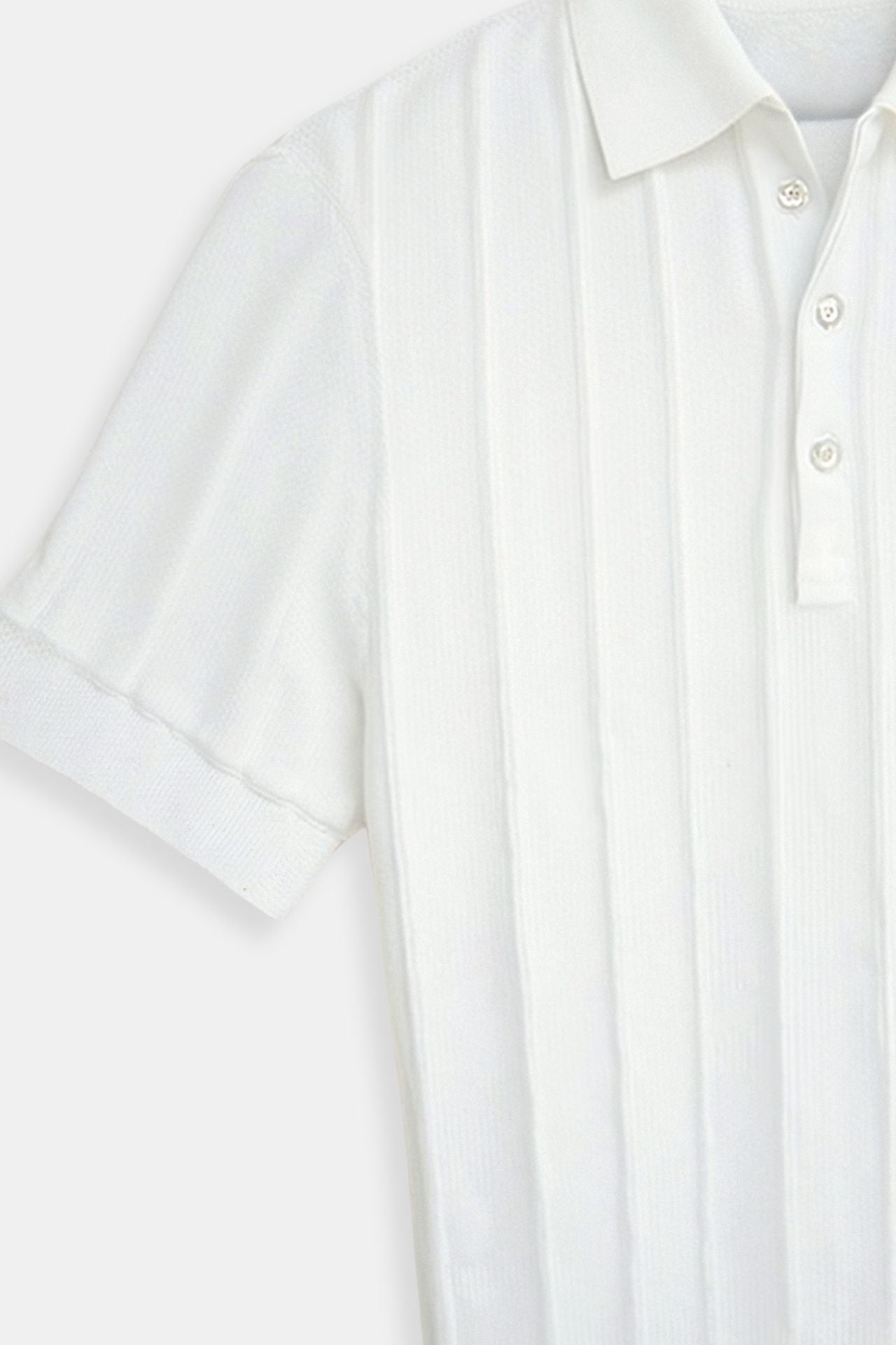SECRET WEALTH | Vertical Striped Button Up Polo